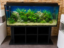 Parduodamas akvariumas su įranga