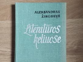 Aleksandras Žirgulys - Literatūros keliuose