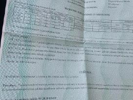 Pasat b6