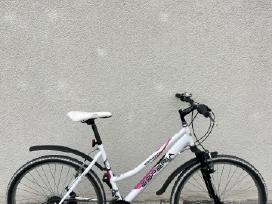 White 26 Esperia bicycle