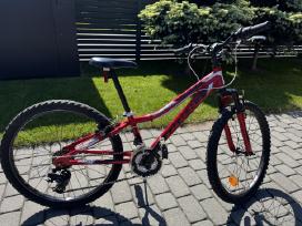 Dviratis Drag Hardy Jr
