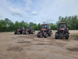 Mtz Belarus Dalimis