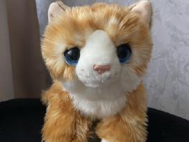Pliušinis katinėlis (minkštas žaislas)