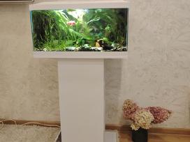 Akvariumas su spintele