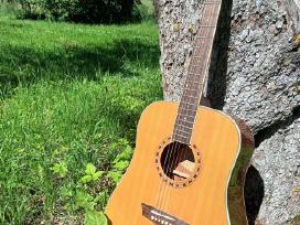 Akustinė gitara