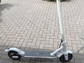 Beaster scooter