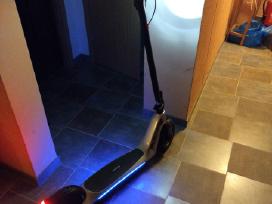 Beaster scooter