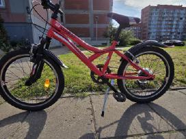 N1 junior 20