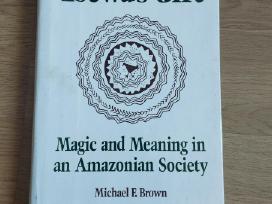M. F. Brown - Tsewa's Gift. Magic and Meaning
