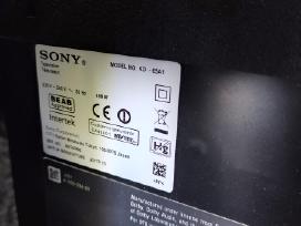 Sony oled