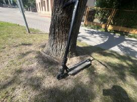 Panaudotas paspirtukas triukams chili kaina derima