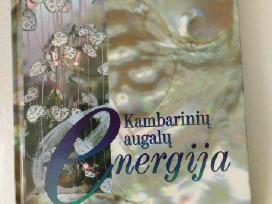 Knyga