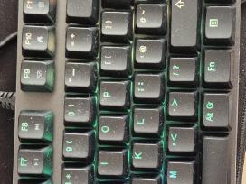 Black Shark Bs-k2 Rgb mechaninę žaidimų klaviatūra