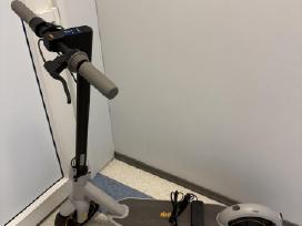 Segway Ninebot Kickscooter Max G30lp