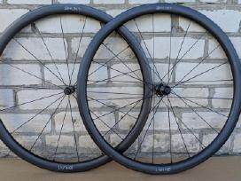 Hunt carbon