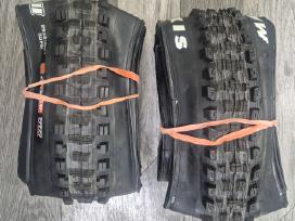 MTB Dalys