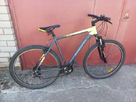 Dviratis 29 ratai