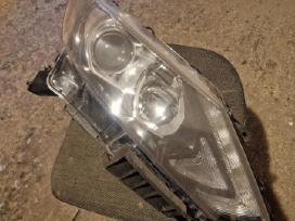 Nissan qashqai žibintas