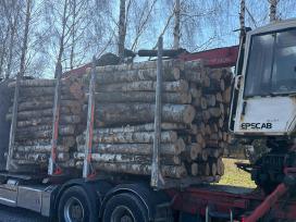 Malkos pigiau! Beržas,uosis,ąžuolas,juodalksnis.