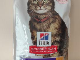 Hill's Science Plan Adult Sensitive Stomach & Skin