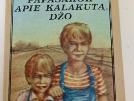 Papasakok apie kalakuta Džo