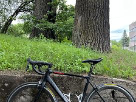 Canyon Endurance CF
