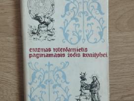 E. roterdamietis - pagiriamasis žodis kvailybei