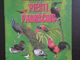 Mokomės piešti paukščius