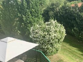 Pavėsnė lauko su tentiniu stogu 3x3m