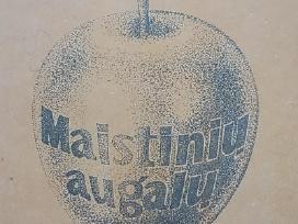 Maistinių augalų gydomosios savybės