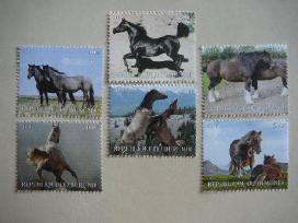 Arkliai Burundis 2011 svarus ak1566