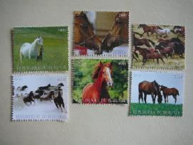 Arkliai Burundis 2011 svarus ak1569