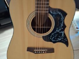 El.akustinės gitaros