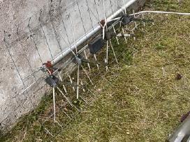 Palydovine Antena