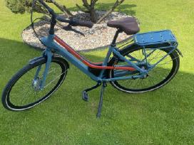 Gazelle City Go