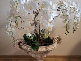 Didelė dirbtinė orchidėja