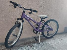 Tvarkingas Procycle Milano 20" vaikiškas dviratis