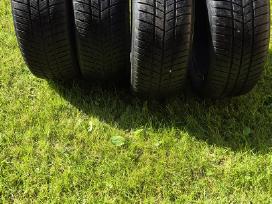 255/50 R19 V XL M+s Barum Polaris 5