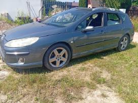 Peugeot 407 dalimis