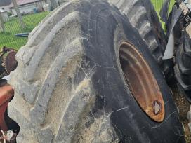 Mtz ratai