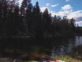 Black Moose irklentė
