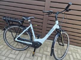 Gazelle