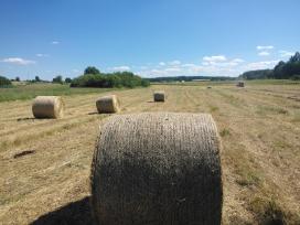 Šienas rulonai, kitkos.