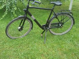 Gazelle esprit