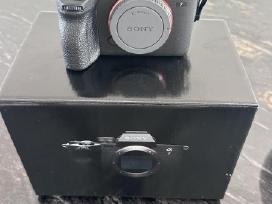 Sony A7 Iv Body su Sigma Af 24-70mm F/2.8 Dg Dn II