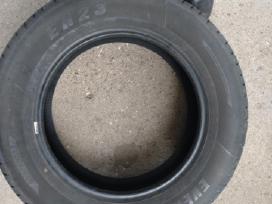 Padangos Evergreen R17