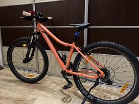 Scott Contessa 26