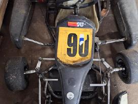 Kartingai