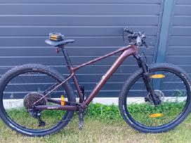 Scott scale contesa