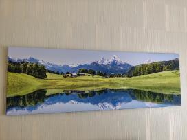 Paveikslas 50x150